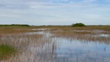 Everglades, Florida, ABD 4 Aralık 2023: Everglades Ulusal Parkı 'nın sularını hızla geçen manzara