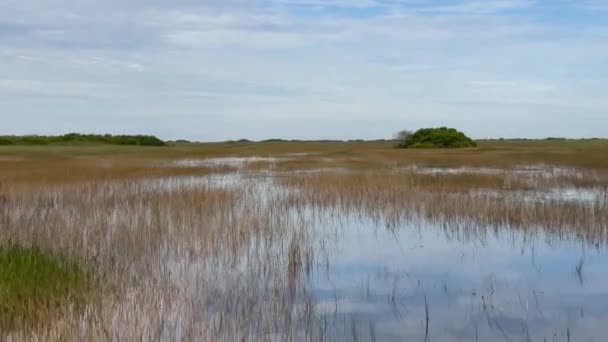 2023年12月4日 美国佛罗里达州Everglades 穿越Everglades国家公园水域的风景景观景观 — 图库视频影像