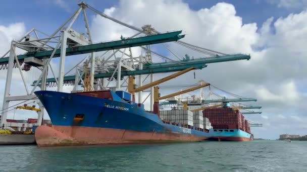 Miamiban Florida Usa 2023 December Nagyobb Konténerszállító Hajó Kikötve Miami — Stock videók