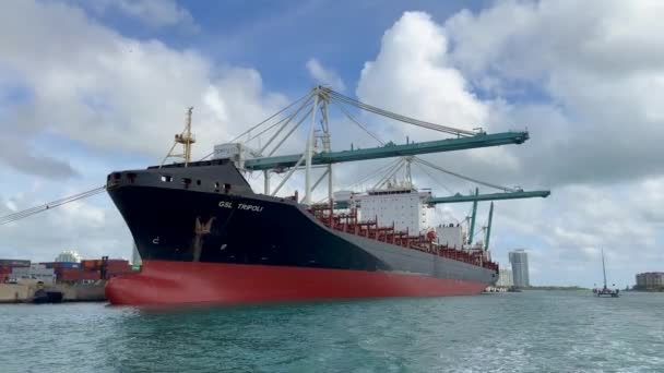 Miami Florida Eua Dezembro 2023 Navio Contentor Maior Atracado Porto — Vídeo de Stock
