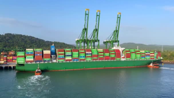 2024年1月21日 协助一艘大型集装箱船在巴拿马城港口停靠的拖轮 — 图库视频影像