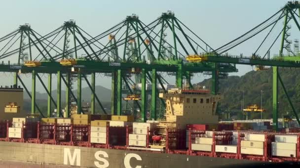 Panama City Panama Január 2024 Daruk Kirakodása Konténerhajó Városi Kikötőben — Stock videók