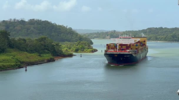 Panama Csatorna Panama 2024 Január Msc Amalfi Konténerhajó Panama Csatorna — Stock videók