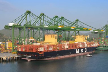 Panama Şehri, Panama - 23 Ocak 2024: Turnalar Panama limanına yanaşmış bir konteynır gemisini boşaltıyor