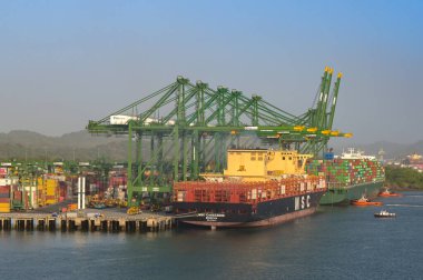 Panama Şehri, Panama - 23 Ocak 2024: Vinçler Panama limanına yanaştı