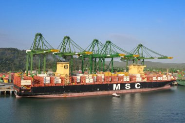 Panama Şehri, Panama - 23 Ocak 2024: Vinçler Panama City limanına yanaştı.