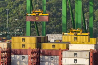 Panama Şehri, Panama - 23 Ocak 2024: Turnalar Panama City limanına yanaşmış bir MSC konteyner gemisinden nakliye konteynerlerini kaldırıyor