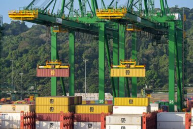 Panama Şehri, Panama - 23 Ocak 2024: Turnalar Panama City limanına yanaşmış bir MSC konteyner gemisinden nakliye konteynerlerini kaldırıyor