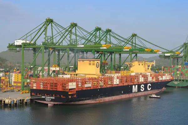 Panama Şehri, Panama - 23 Ocak 2024: Turnalar Panama limanına yanaşmış bir konteynır gemisini boşaltıyor