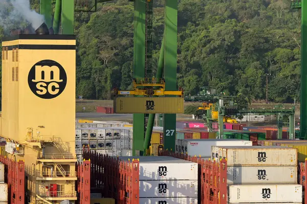 Panama City, Panama - 23 Ocak 2024: Crane, Panama City limanına demirlemiş bir MSC konteynırını taşıyor