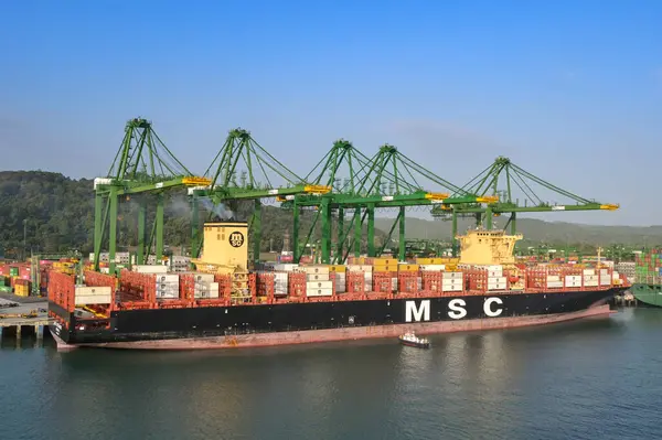 Panama Şehri, Panama - 23 Ocak 2024: Vinçler Panama City limanına yanaştı.