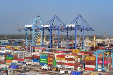 Puerto Quetzal, Guatemala - 19 Ocak 2024: Arka planda vinçlerle kentin limanında istiflenmiş nakliye konteynerleri