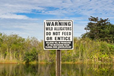 Everglades Ulusal Parkı, Florida, ABD - 4 Aralık 2023: Everglades 'teki bir su yolunda timsahları beslememekle ilgili uyarı işareti.