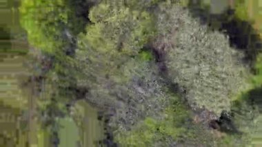 İnsansız hava aracı bir kavşağın üzerinde hızla yükseliyor ve dönüyor 