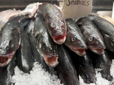 Restoran vitrininde buz üstünde taze deniz levreği balığı.