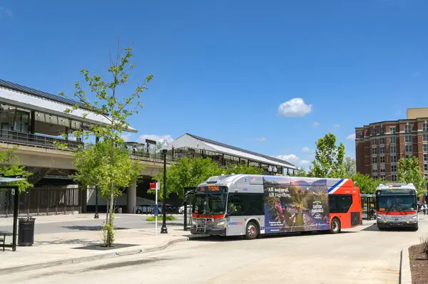 Alexandria, Virginia, ABD - 1 Mayıs 2024: Metro istasyonunun dışındaki otobüs durağına park edilmiş otobüsler.