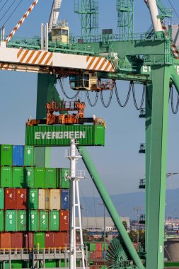 Los Angeles, Kaliforniya, ABD - 12 Ocak 2024: Los Angeles limanındaki Evergeen nakliye konteynırının kaldırılması.