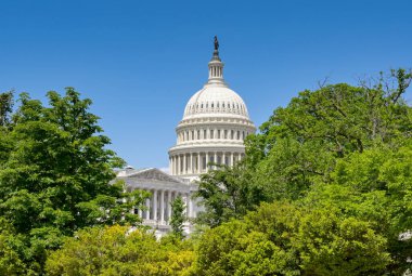 Washington DC, ABD - 2 Mayıs 2024: Capitol Hill çevresindeki bahçelerin arkasındaki Kongre Binası Kubbesi