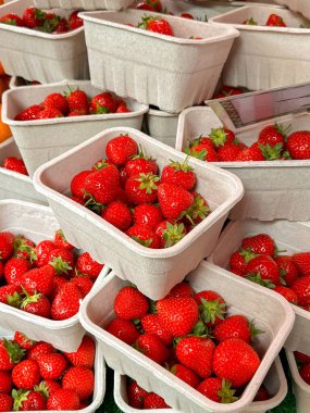 Markette sergilenmekte olan taze olgun çilekler.