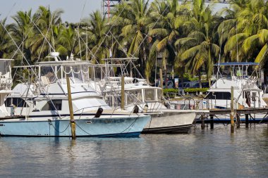 Puerto Quetzal, Guatemala - 19 Ocak 2024: İlçenin ana limanına demirlemiş balıkçı tekneleri.