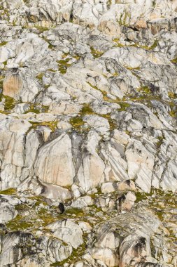 Grönland 'daki Prens Christian Sound' da bir fiyordun kenarındaki granit kaya yüzeyindeki soyut desen.