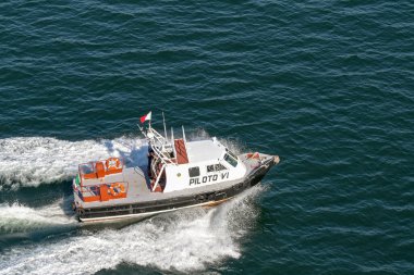 Manzanillo, Colima, Meksika - 16 Ocak 2024: Pilot botu Manzanillo limanına gitmek için bir yolcu gemisinin yanında hız yapıyor..