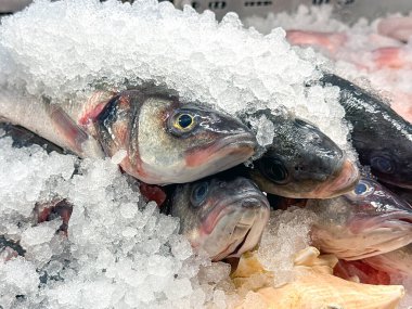 Pazarda bir balıkçı tezgahında buzdaki taze levrek balığına yakından bakın..