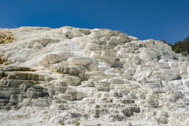 Yellowstone Ulusal Parkı 'ndaki Mammoth Kaplıcaları' ndaki Travertine Terasları 'nın manzarası.