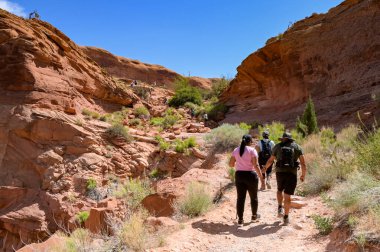 Moab, Utah, ABD - 25 Mayıs 2025: Moab yakınlarındaki kayalık arazide yürüyüş yapan bir grup insan