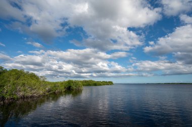 Florida, Everglades Ulusal Parkı 'ndaki Batı Gölü üzerindeki sonbahar bulutları sakin bir ekim öğleden sonra.