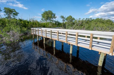 Güneşli bir sonbahar öğleden sonrasında Florida, Everglades Ulusal Parkı 'ndaki West Lake' te tahta kaldırım..