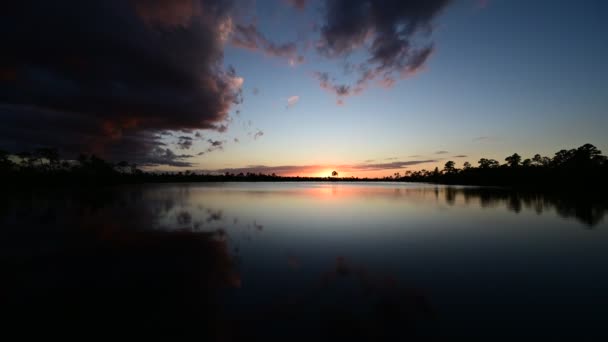Timelapse Sunset Cloudscape Crepúsculo Pine Glades Lake Everglades National Park — Vídeo de Stock