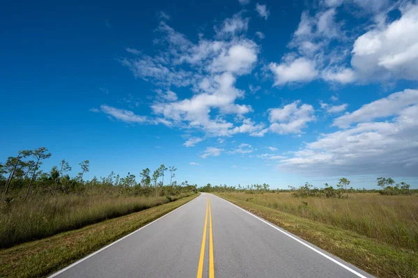 stock image Main Park Road receding into distance in Everglades National Park, Florida on sunny autumn morning.