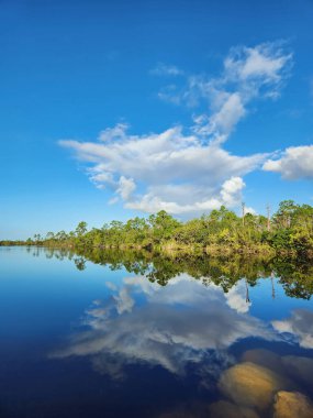Güneşli bir sabah Florida, Everglades Ulusal Parkı 'ndaki Pine Glades Gölü üzerinde güzel bir sonbahar bulutu..