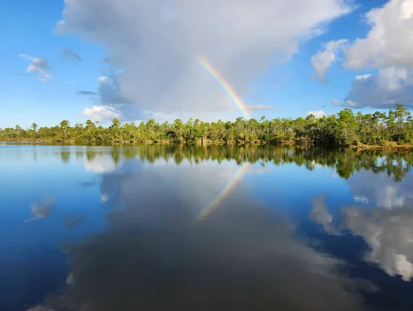 Stock image Rainbow and clouds over Pine Glades Lake in Everglades National Park, Florida on sunny autumn morning.