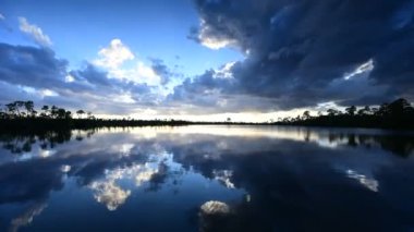 Florida, Everglades Ulusal Parkı 'ndaki Pine Glades Gölü üzerindeki aktif günbatımı bulutları 4K gölünün durgun sularına yansıyor..