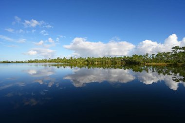 Güneşli bir sabah Florida, Everglades Ulusal Parkı 'ndaki Pine Glades Gölü üzerinde güzel bir sonbahar bulutu..