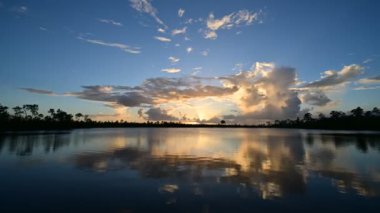 Renkli günbatımı bulutları Everglades Ulusal Parkı 'ndaki Pine Glades Gölü' nün sakin sularına yansıyor..