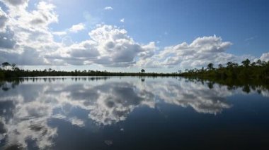 Pine Glades Gölü 'nün Everglades Ulusal Parkı, Florida 4K' daki sakin suyuna yansıyan parlak öğleden sonra bulutlarının zaman akışı.