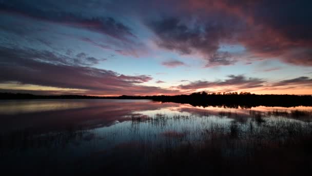 フロリダ州エバーグレーズ国立公園の9マイル池の上のカラフルな日の出の雲の風景の時間の経過は 池の穏やかな表面に反映4K — ストック動画