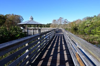 Elevated boardwalk at Green Cay Nature Center and Wetlands in Boynton Beach, Florida on clear cloudless sunny morning.
