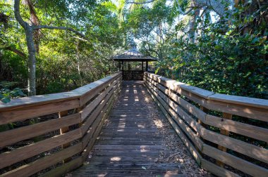 Elevated boardwalk at Green Cay Nature Center and Wetlands in Boynton Beach, Florida on clear cloudless sunny morning.