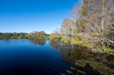 Constructed wetlands of Green Cay Nature Center in Boynton Beach, Florida on cloudless sunny morning.