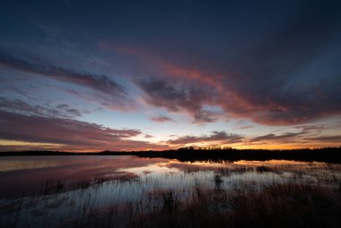Colorful sunrise cloudscape reflected in calm water of Nine Mile Pond in Everglades National Park, Florida.