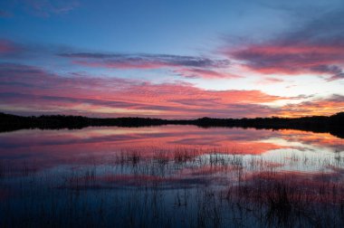 Colorful sunrise cloudscape reflected in calm water of Nine Mile Pond in Everglades National Park, Florida.