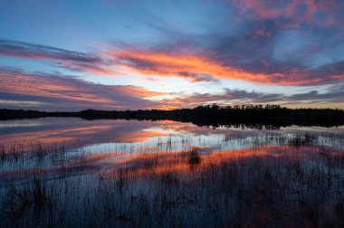 Colorful sunrise cloudscape reflected in calm water of Nine Mile Pond in Everglades National Park, Florida.