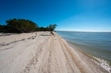 Florida, Everglades Ulusal Parkı 'ndaki Middle Cape Sable ve Gulf of Mexico plajlarında güneşli bir şubat günü.