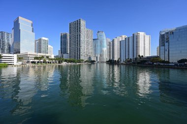 Miami, Florida 'daki konut ve ofis kuleleri güneşli bir sabahta Biscayne Körfezi' nin sakin sularına yansıdı..