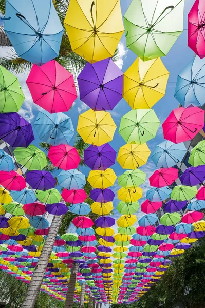 佛罗里达州多罗市 2023年4月9日 阳光明媚的周日上午 多彩的雨伞林冠悬挂在多罗市广场大道上方 — 图库照片