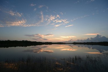 Everglades Ulusal Parkı, Florida 'daki Nine Mile Pond' un durgun sularına yansıyan renkli gündoğumu bulutu.